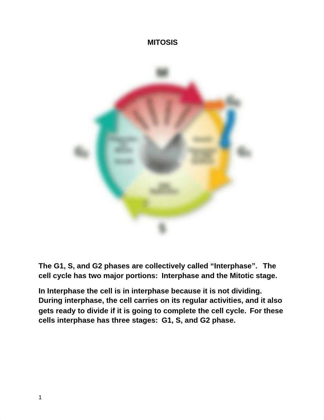 Notes on Mitosis Natural Science 1_doavz93e9fb_page1