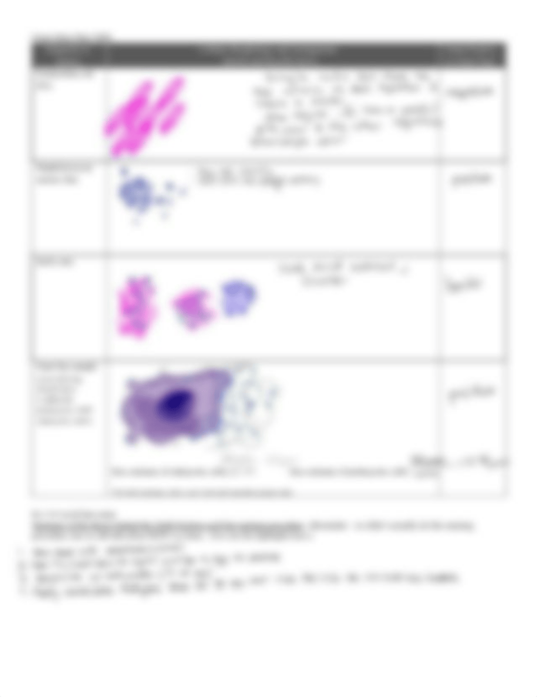 Staining Lab Report.pdf_doaw2my1er8_page4