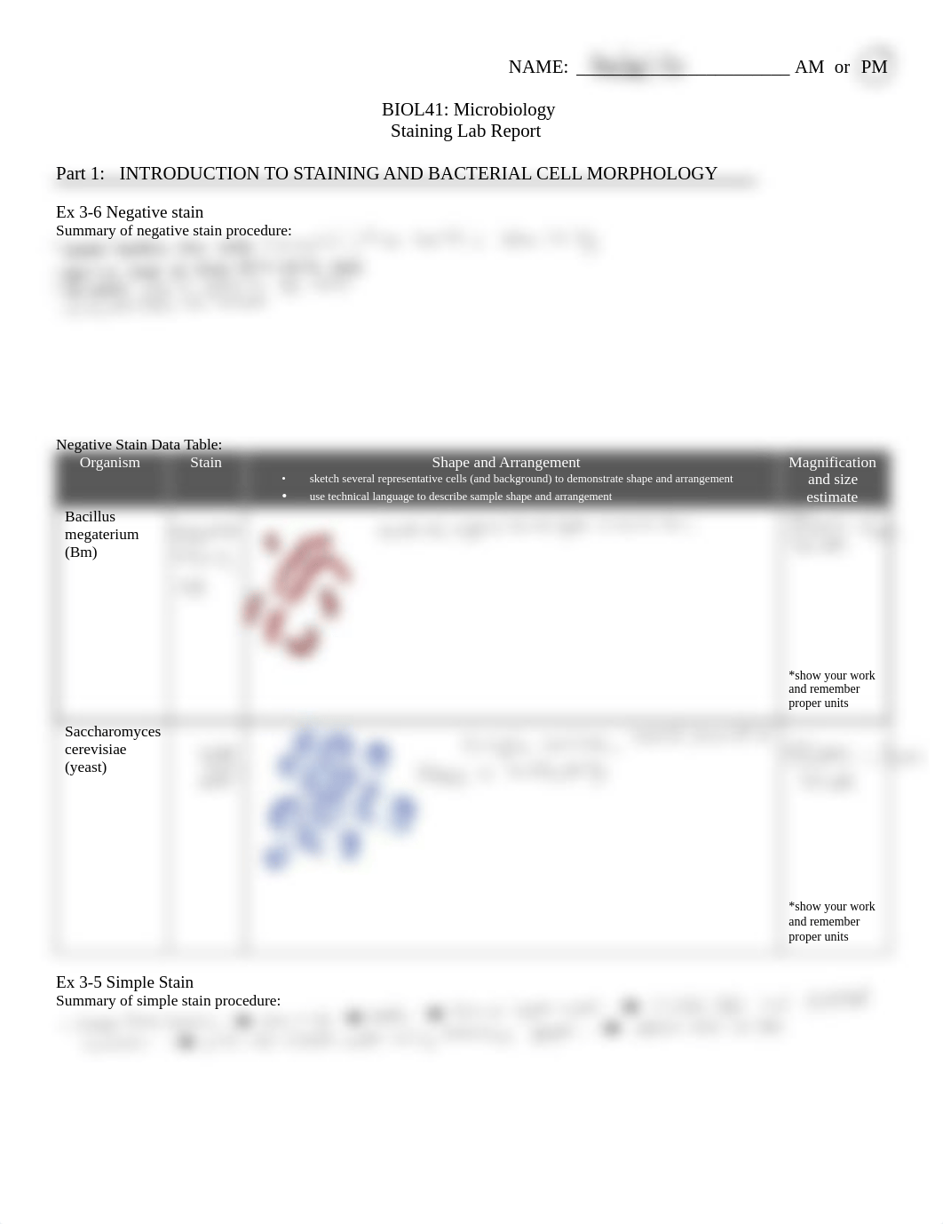 Staining Lab Report.pdf_doaw2my1er8_page1