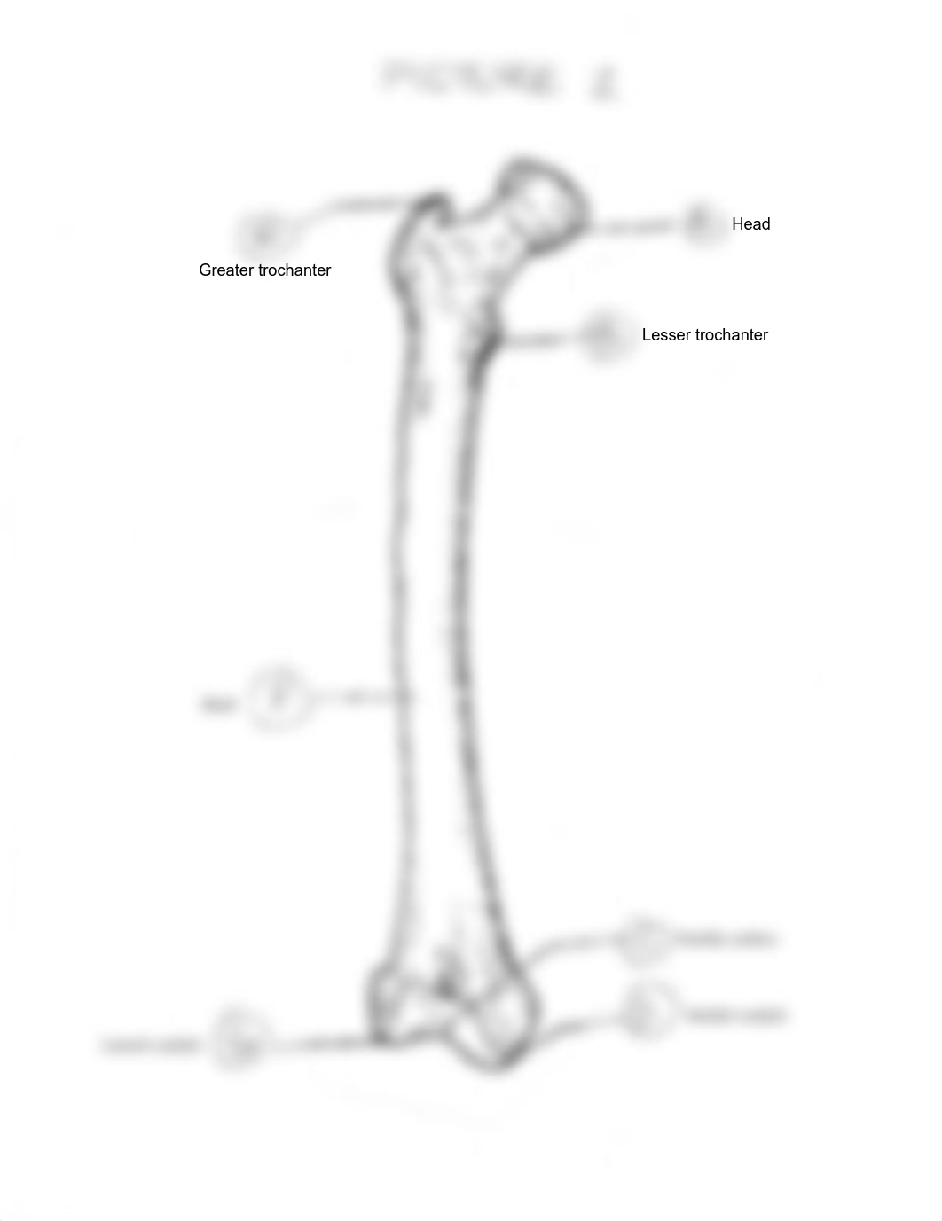 3 bonepic2rev0912 - filled in.pdf_doba5f38gme_page1