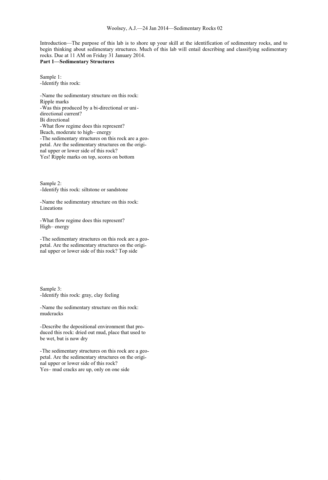 Sedimentary rocks lab_doba7i7chqw_page1