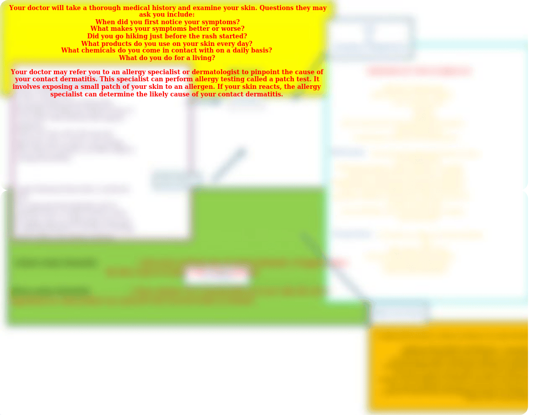 dermatitis mind map nurs 6501 assign 2.docx_dobdiqnn4s3_page1