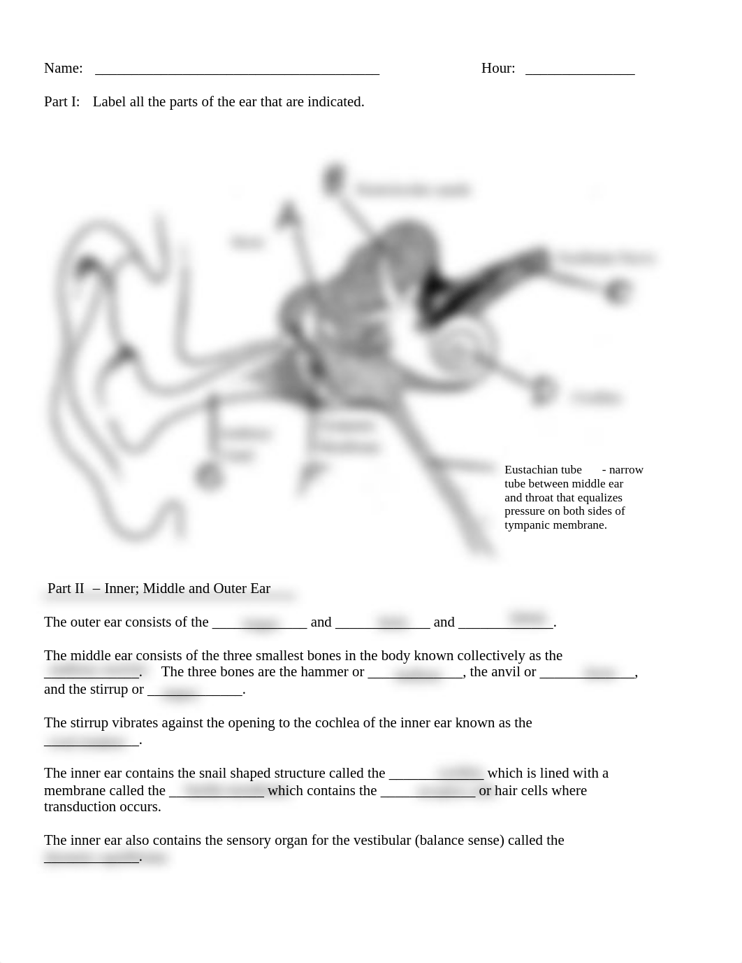 Abigail Bautista - Copy of Ear Outline and Assignment .doc.pdf_dobehg8t3cc_page1