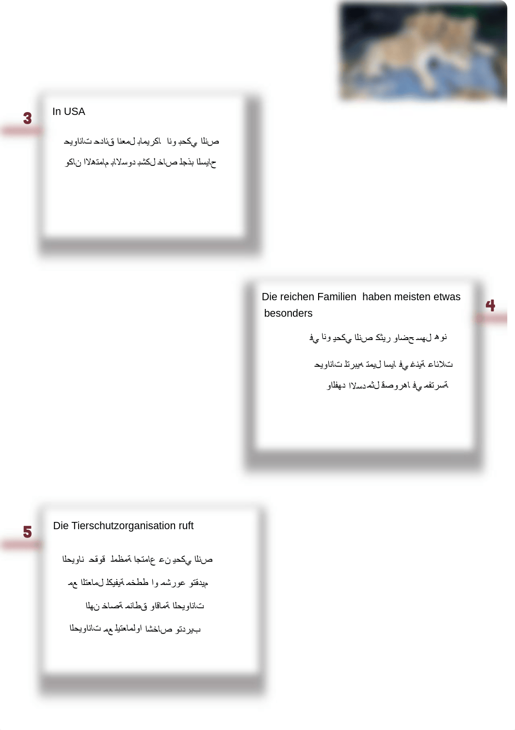 اللوفن المتوفر die Löwen-1.pdf_dobemthmjxe_page2