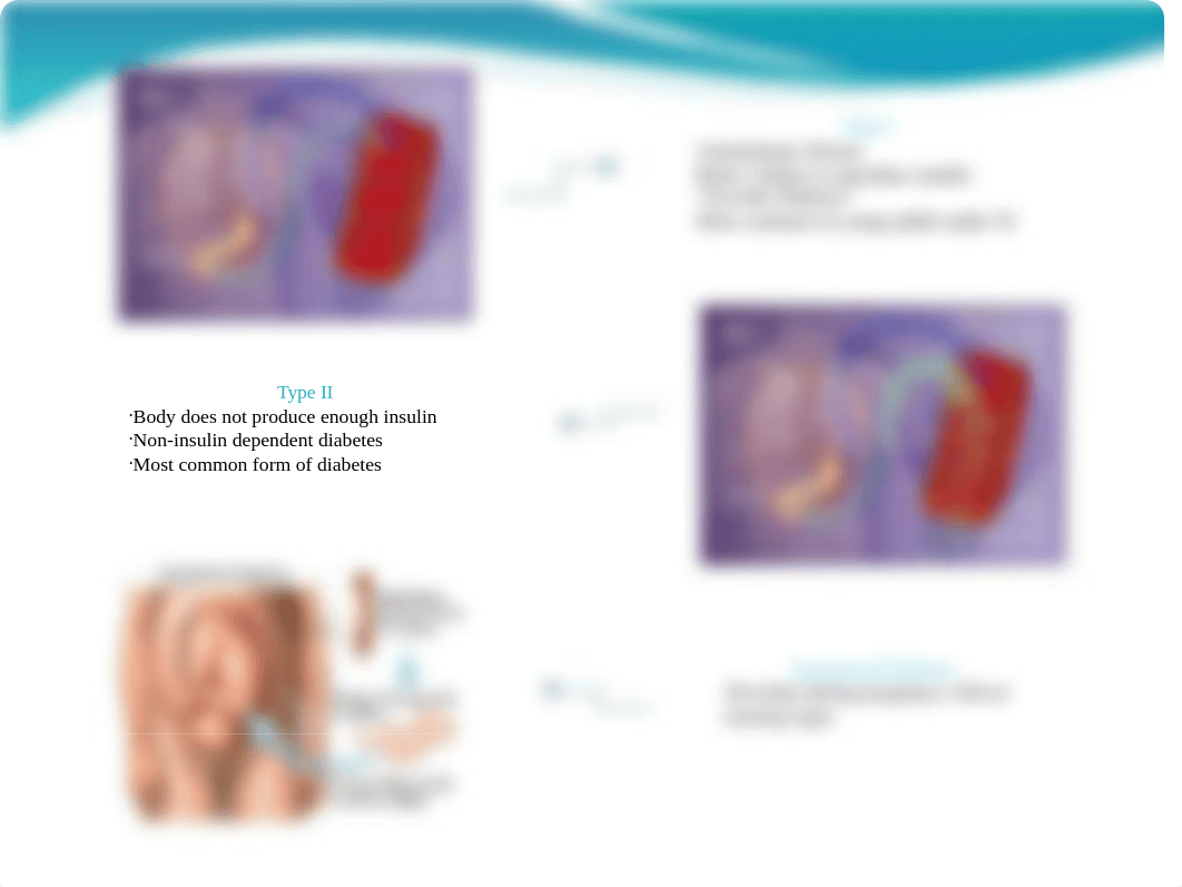 Diabetes Power point 2_doblbyfre3w_page5