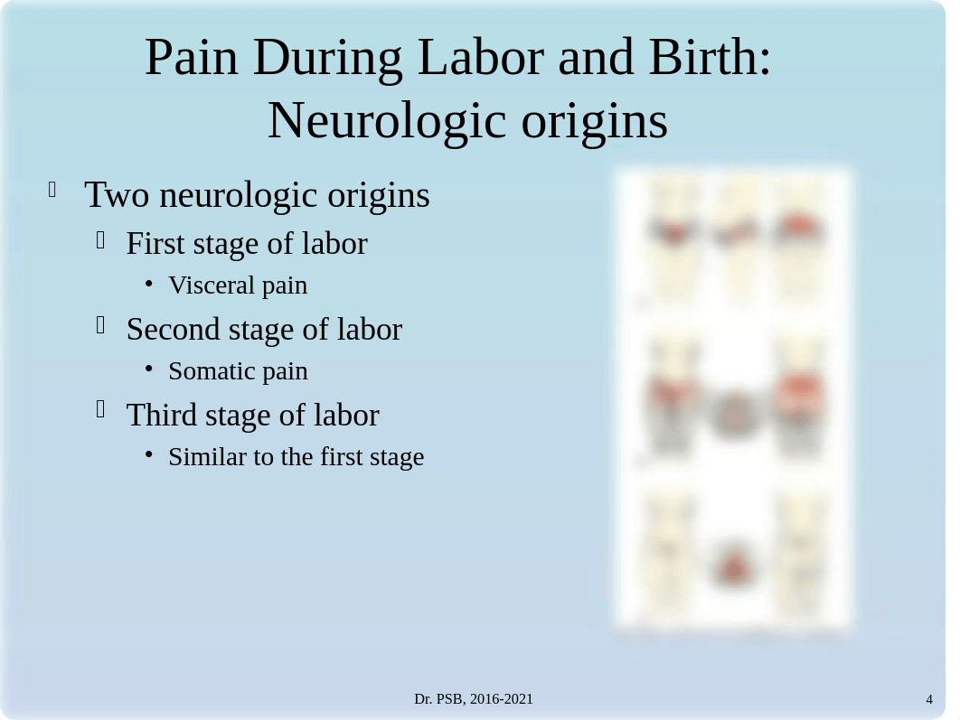 Perry 6ed. Chapter_014Maximizing Comfort for the Laboring Woman(1).ppt_dobnsi9fx9r_page4