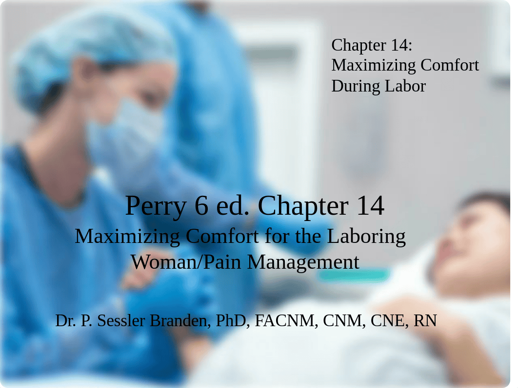 Perry 6ed. Chapter_014Maximizing Comfort for the Laboring Woman(1).ppt_dobnsi9fx9r_page1