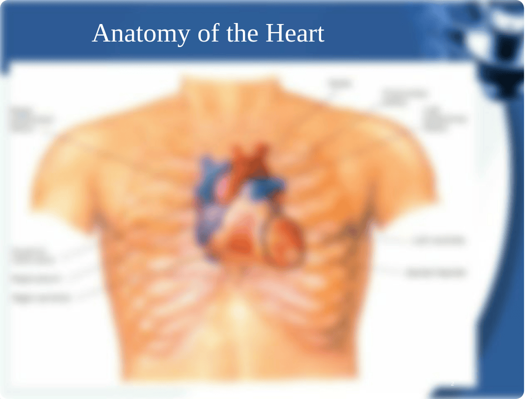 Cardiac Exam_ECM2_Week5_RdSL.ppt_dobovom159e_page2