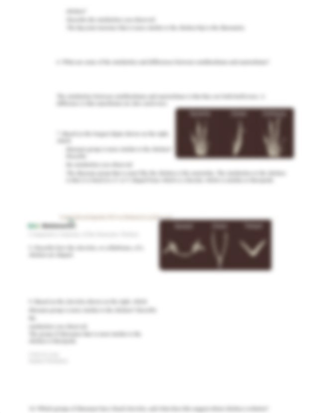 ComparativeAnatomyChicken-StudentWS-CL-1_dobv8x7mmlb_page2