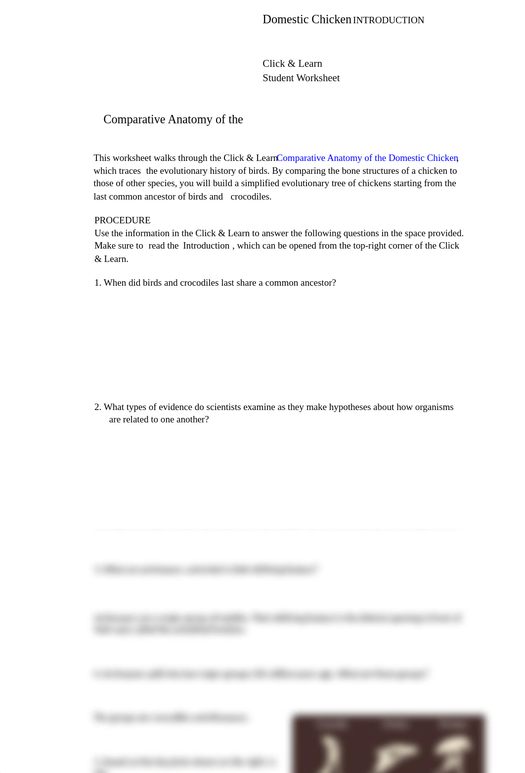 ComparativeAnatomyChicken-StudentWS-CL-1_dobv8x7mmlb_page1