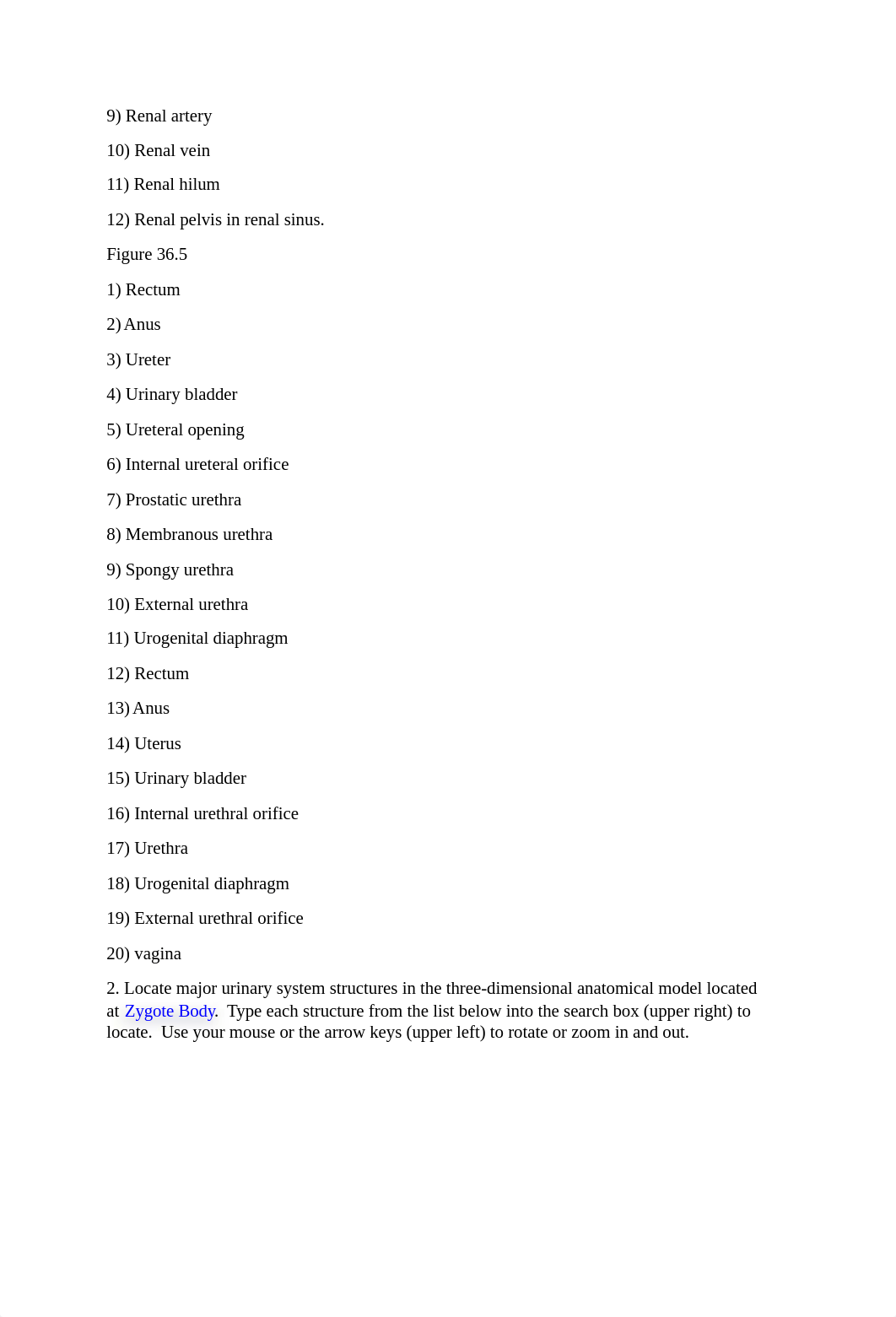 6 urinary system worksheet Bio242ol.docx_dobvla5dsye_page2