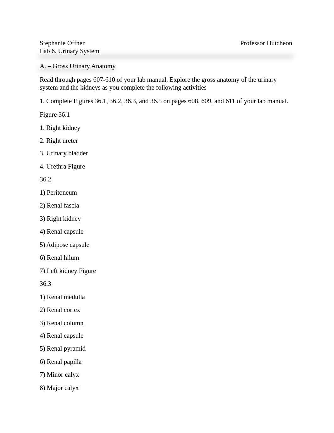 6 urinary system worksheet Bio242ol.docx_dobvla5dsye_page1