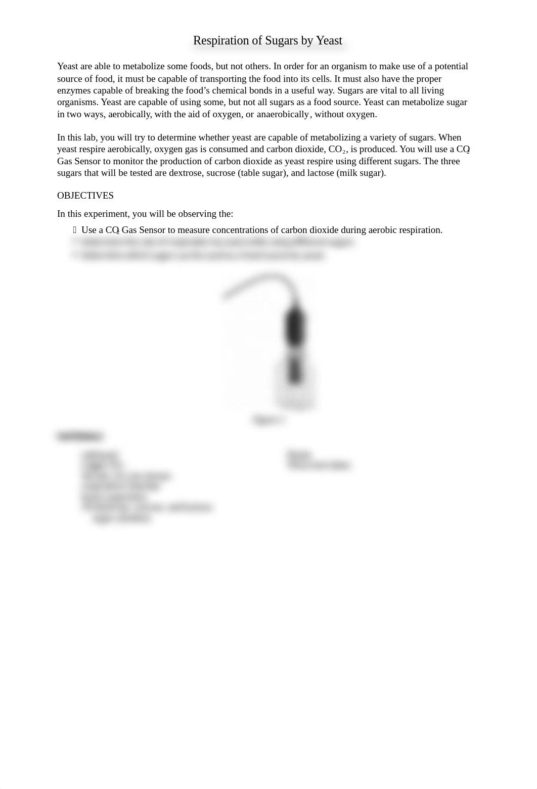 Lab 7  Yeast Respiration Online.docx_dobvyijoxgf_page1