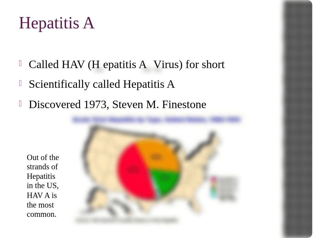 Hepatitis A powerpoint_dobz78gvpmc_page2