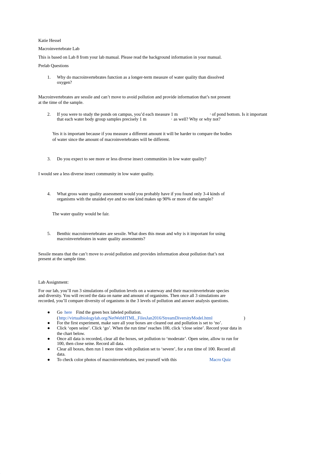 macro lab.docx_doc2kfropyw_page1