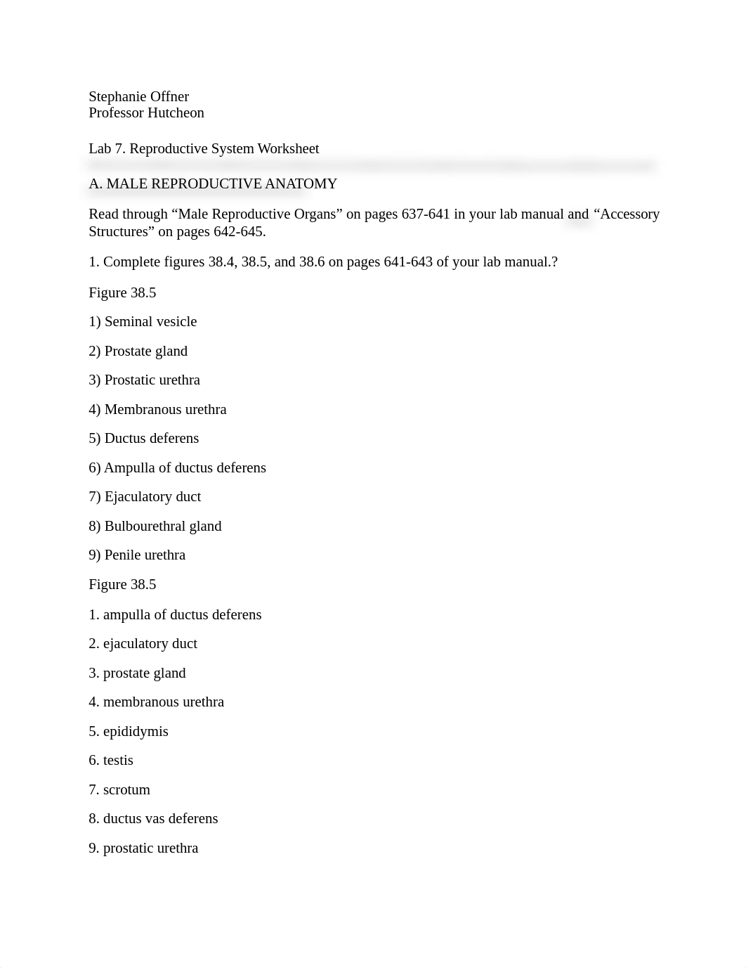 7 reproductive system worksheet Bio242ol.docx_doc9fl5ho36_page1