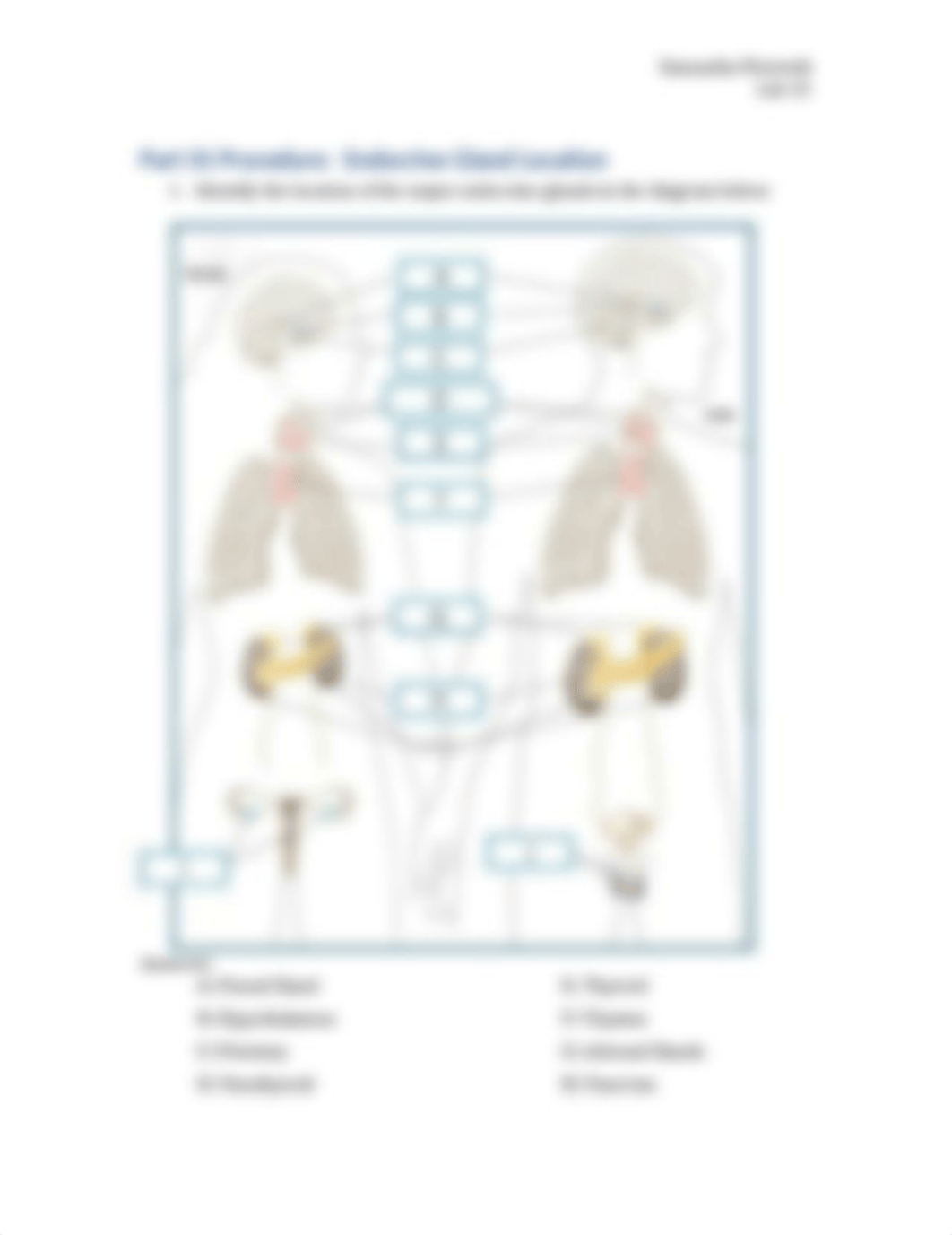 Module_10_Lab_docxzj554ah_page2