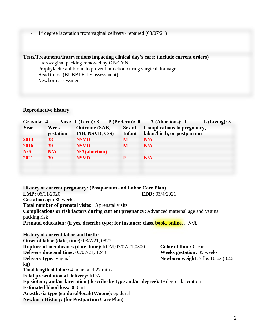 Maternal Nursing Care Assignment.docx_dod23b68j48_page2