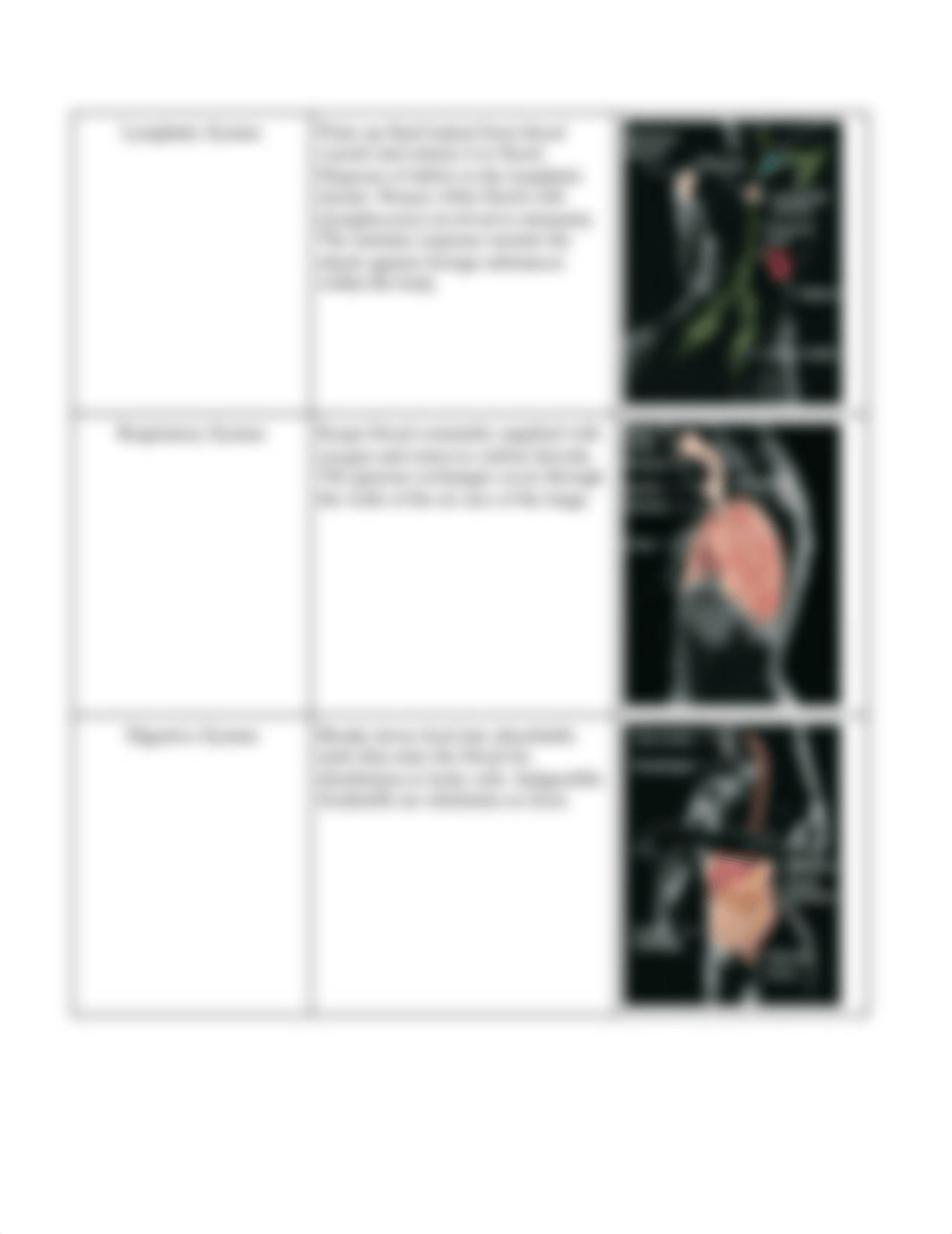 Human Anatomy Exam #1 (CH. 1,2,4-8).docx_dod2r8pwhgl_page5