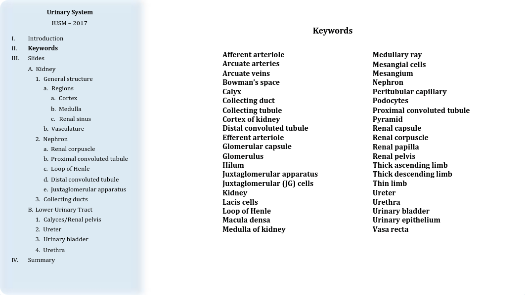 13 - Urinary System.pdf_dod78z4fdgj_page2