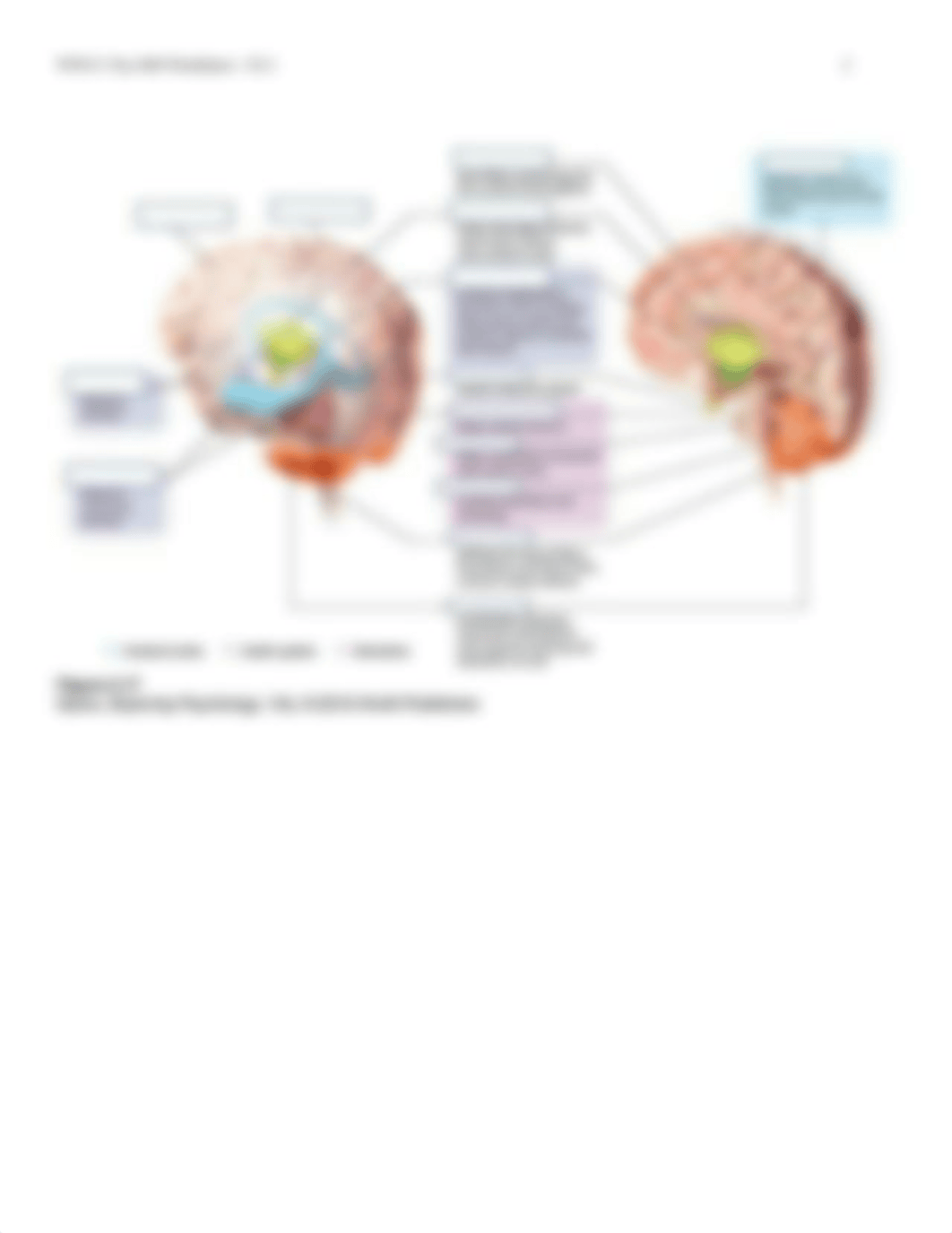 Psy1000 Ch 2 Worksheet -1.pdf_dod9a6nh4e8_page2