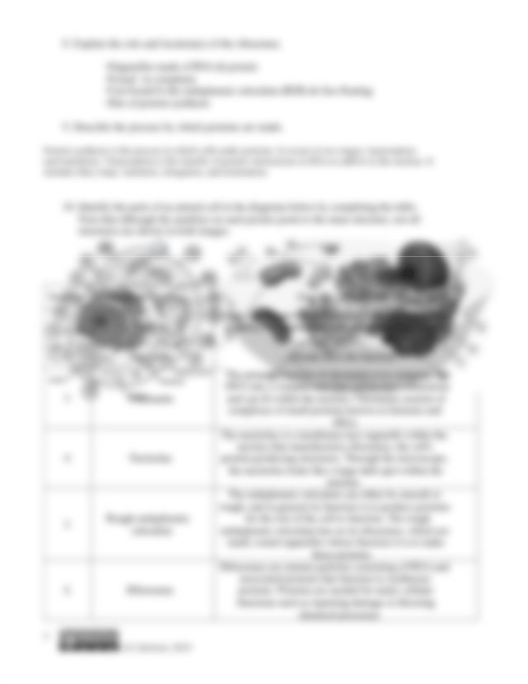 Cell Structure Concept Check(1).pdf_doe1jemnxyz_page2