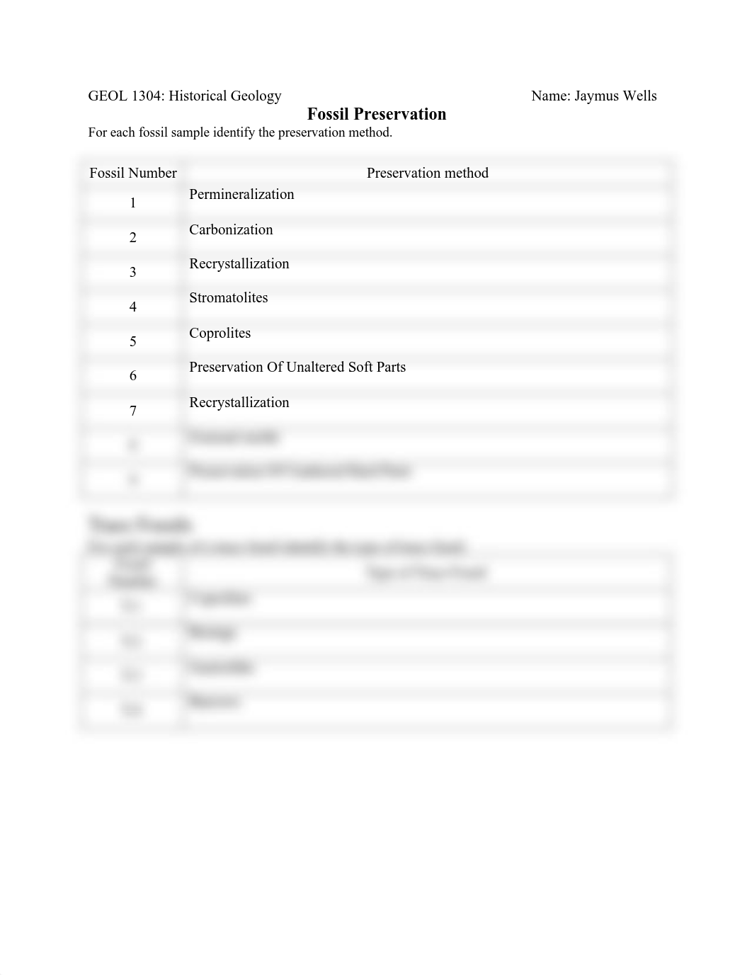 Fossil_Preservation_Worksheet(1).pdf_doe3ovk5e5o_page1