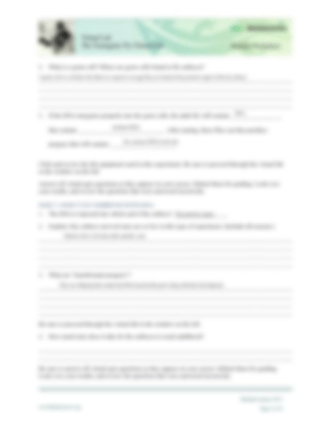 Transgenic-Fly-Lab-Worksheet-Student.pdf_doe3xmp55mq_page4