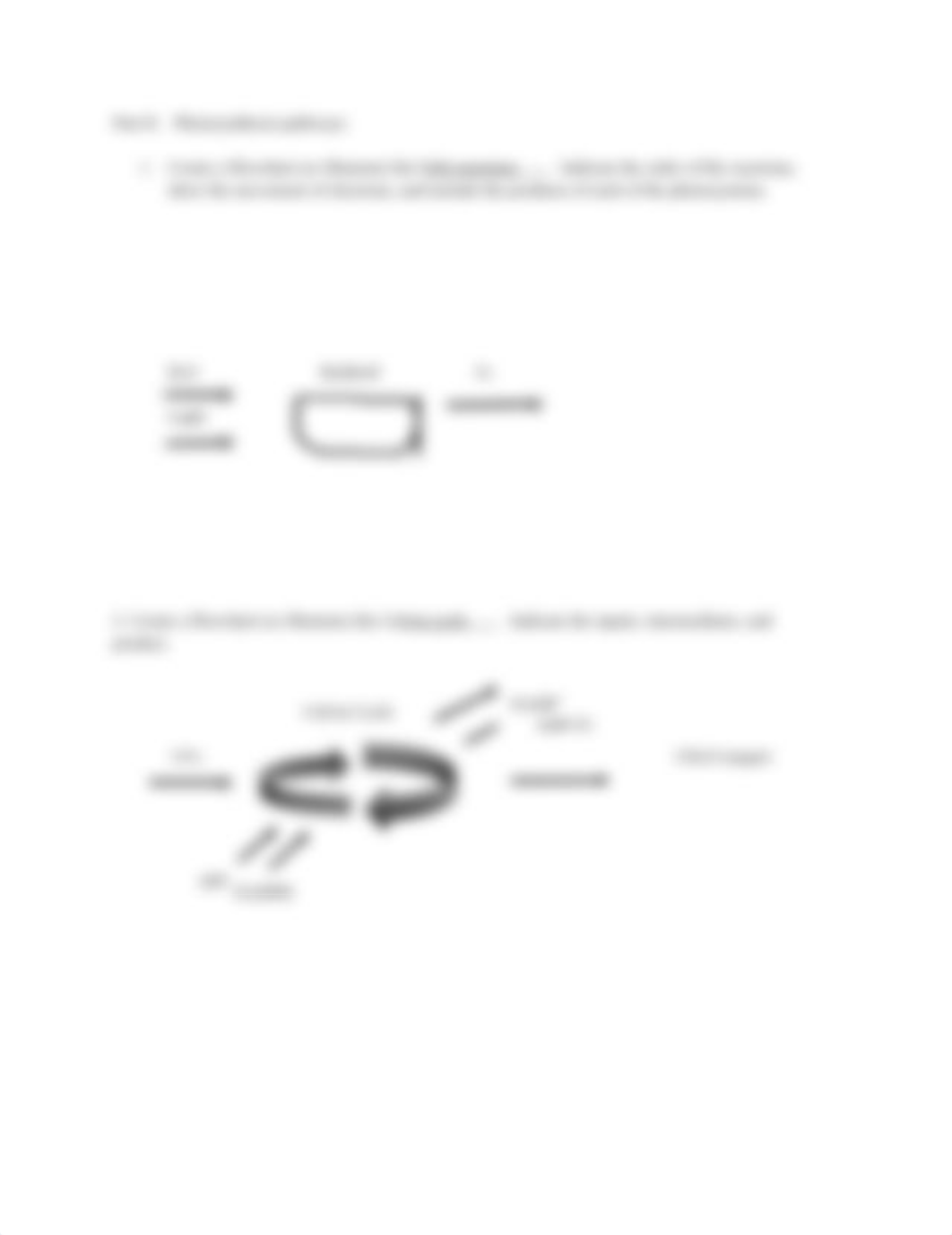 Photosynthesis Problem Set_3.16.docx_doe4c2ey57h_page2