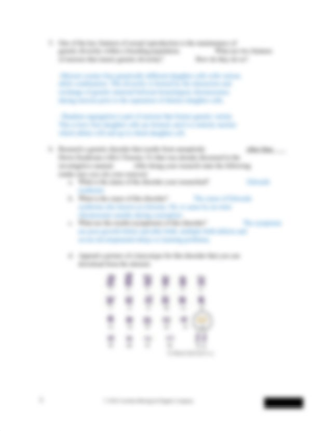 Lab_Report_Mitosis_and_Meiosis.docx_doe99j78o8b_page5