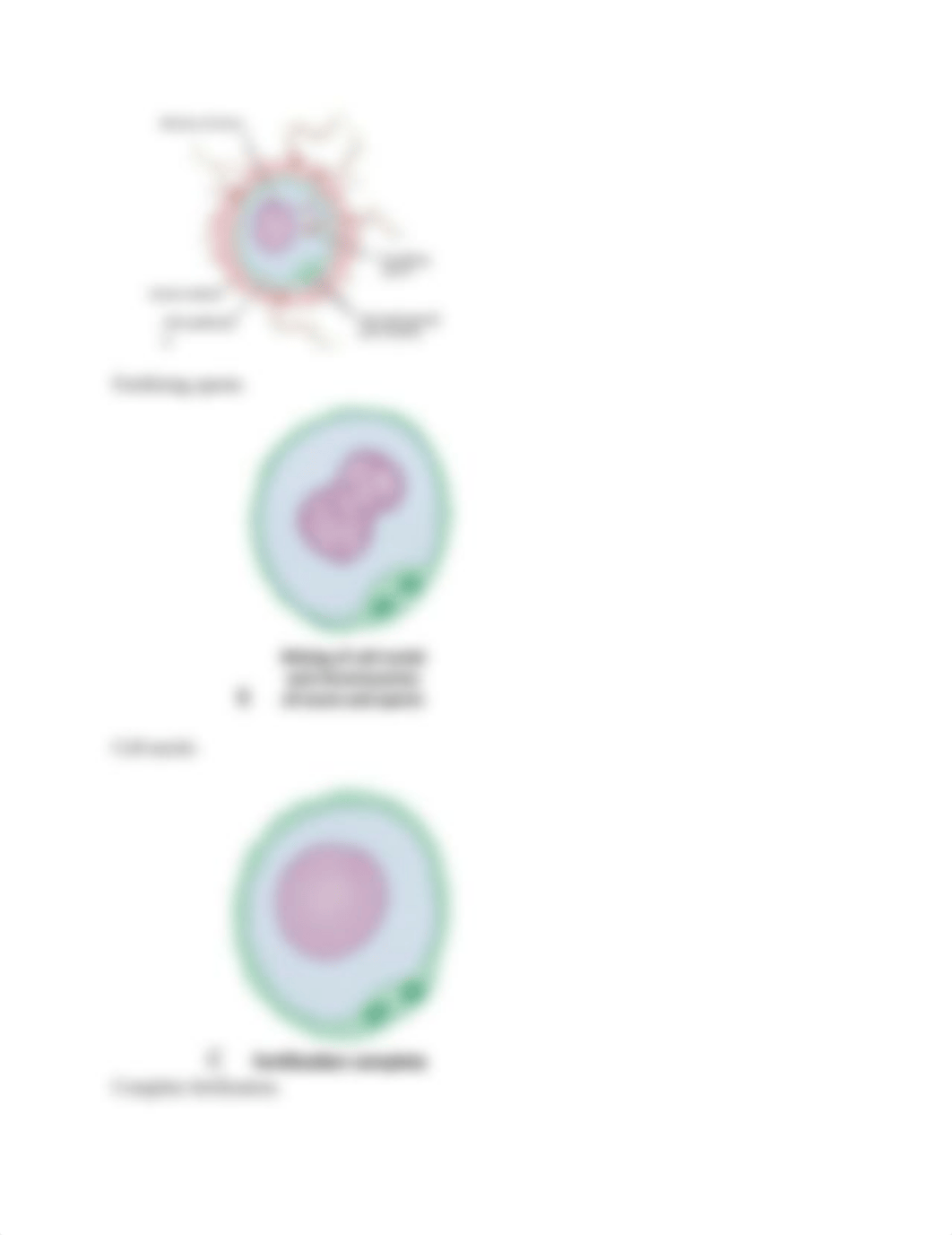 Conception sherpath notes.docx_doea23qdugi_page4