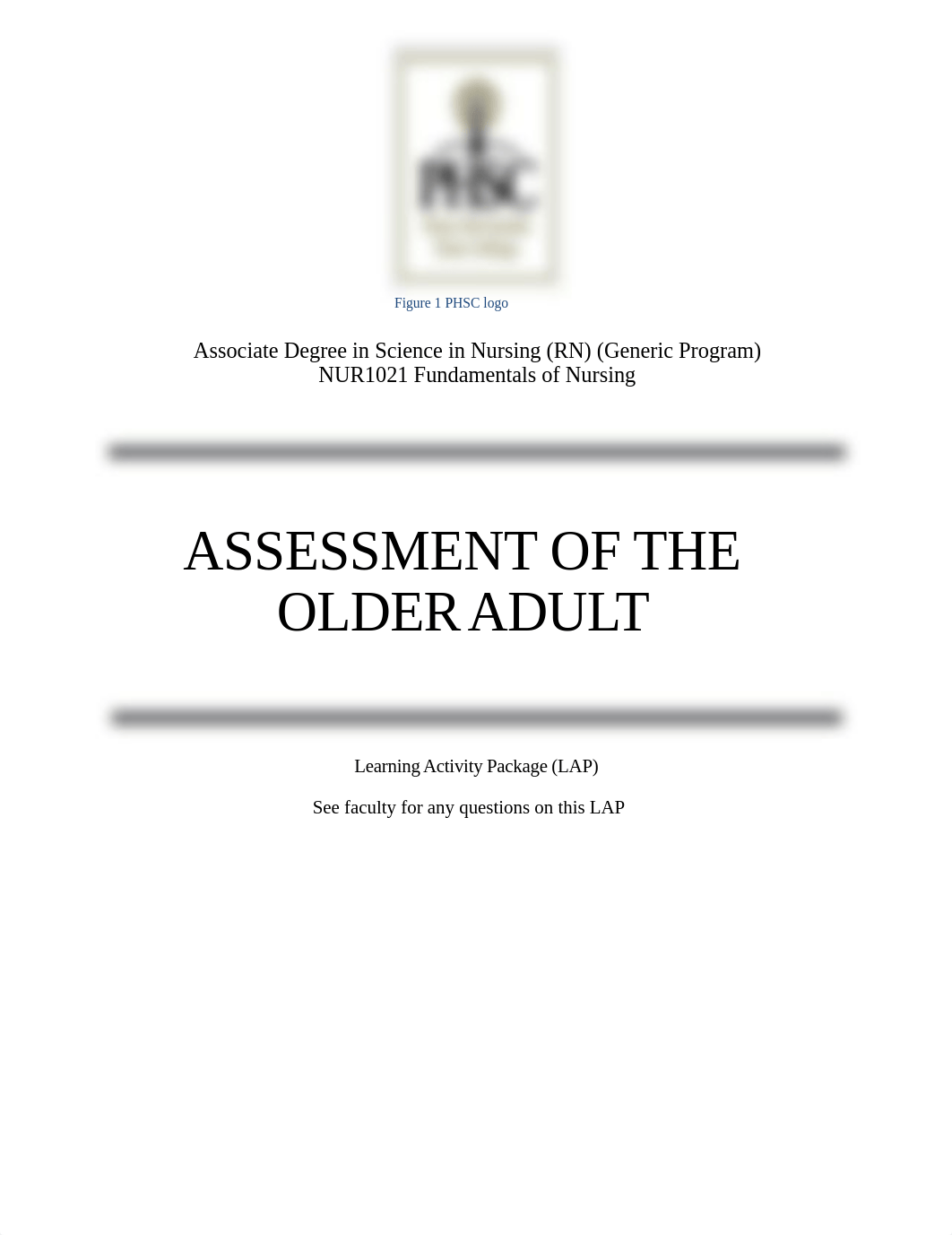 Older Adult LAP 2020.docx_doety3c0h3u_page1