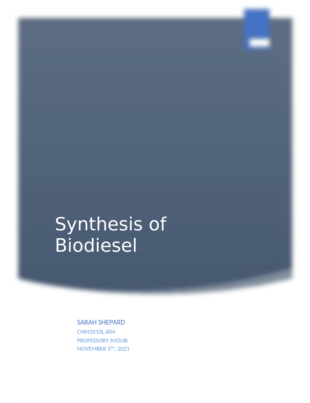 Biodiesel Synthesis Lab Final.docx_doew62nhtfl_page1