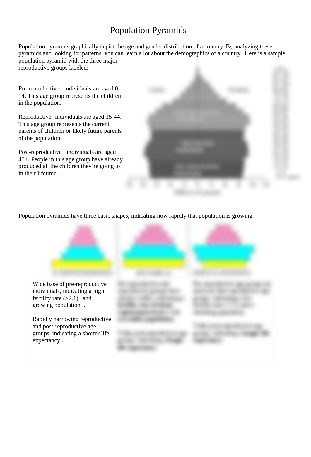 Intro to Population Pyramids (2).docx_dof1543g75k_page1