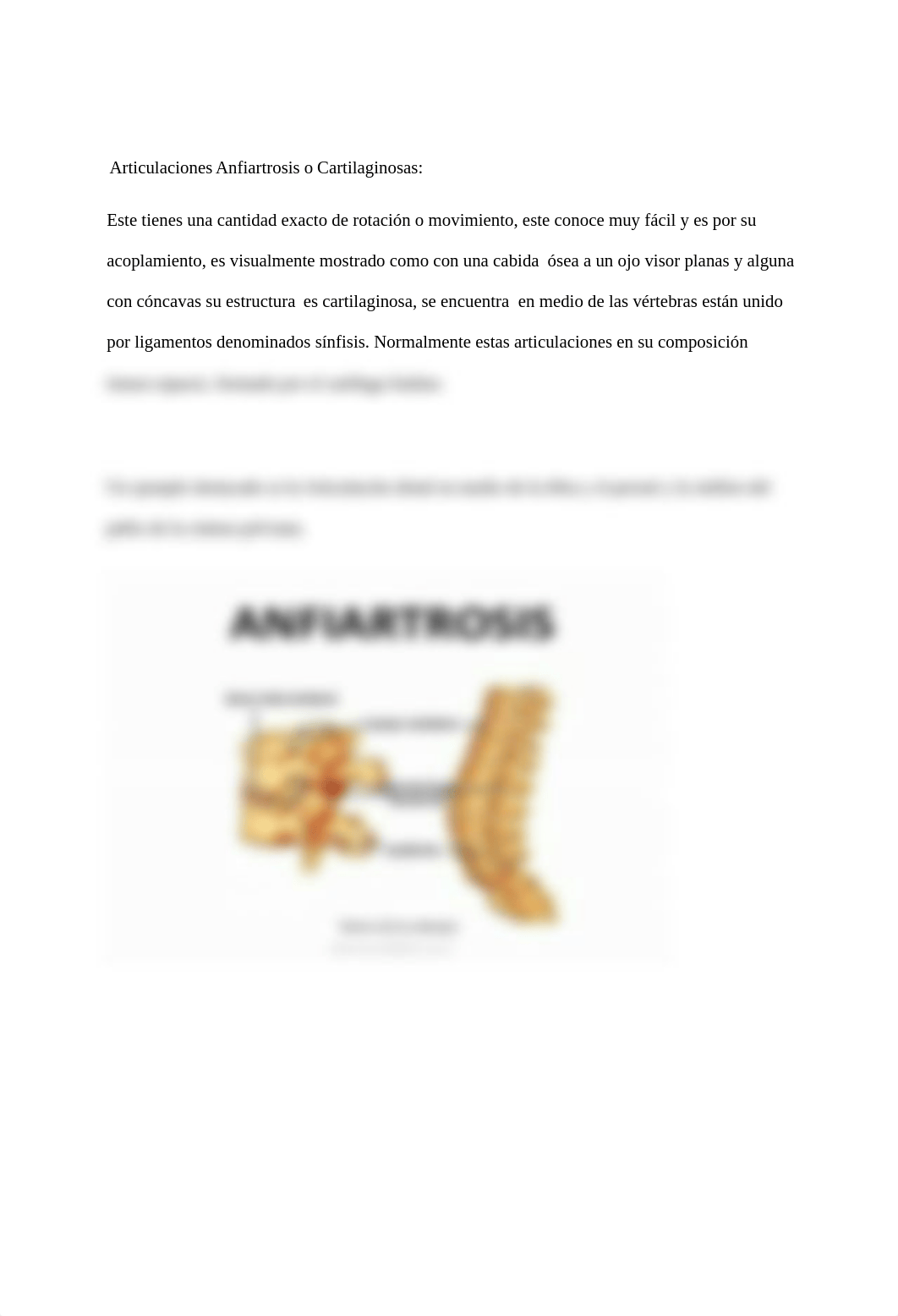 Localización y clasificación de los huesos by ANA DURAN.docx_dof4yks7vu1_page3