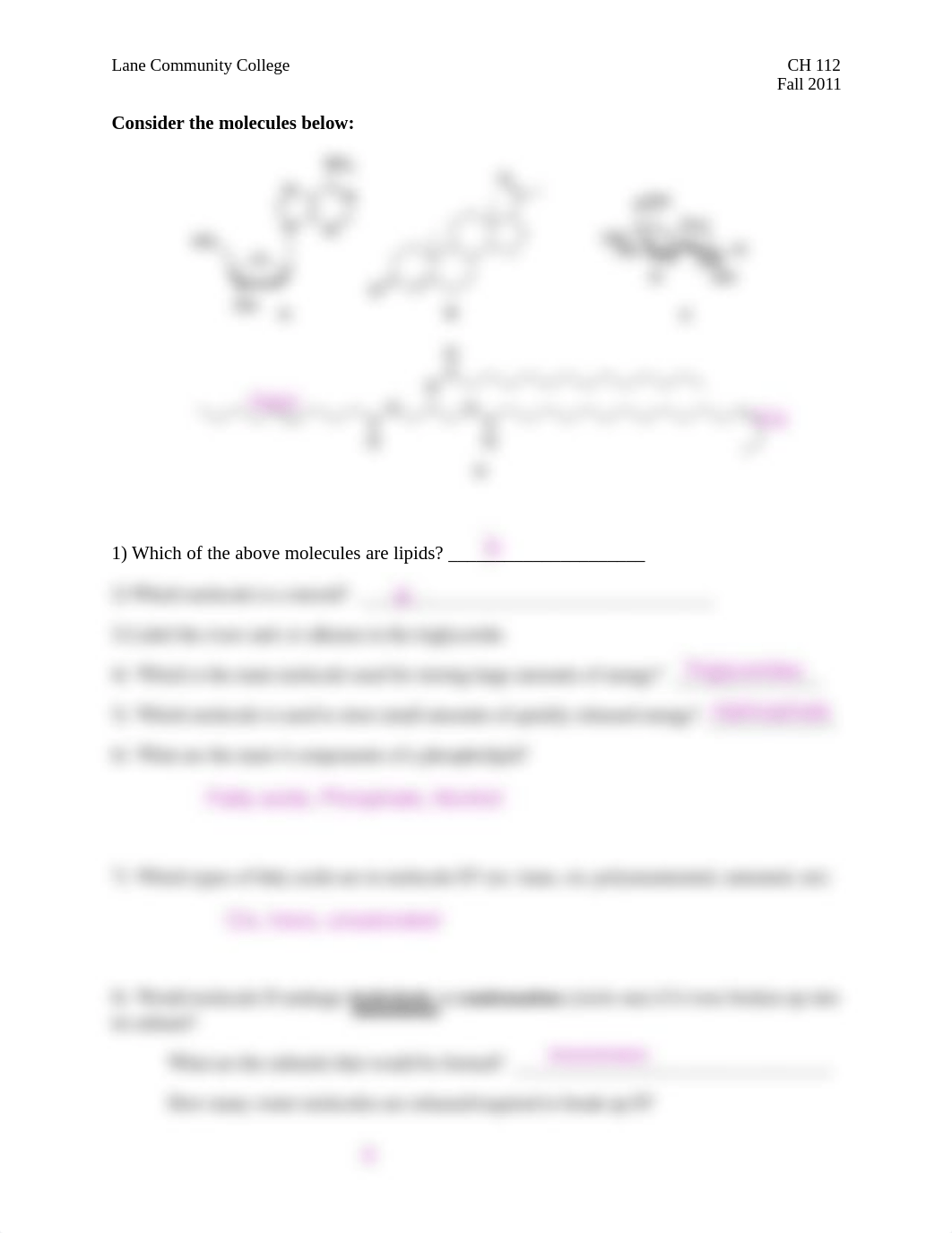 Lipid Worksheet.pdf_dof8en449cp_page2