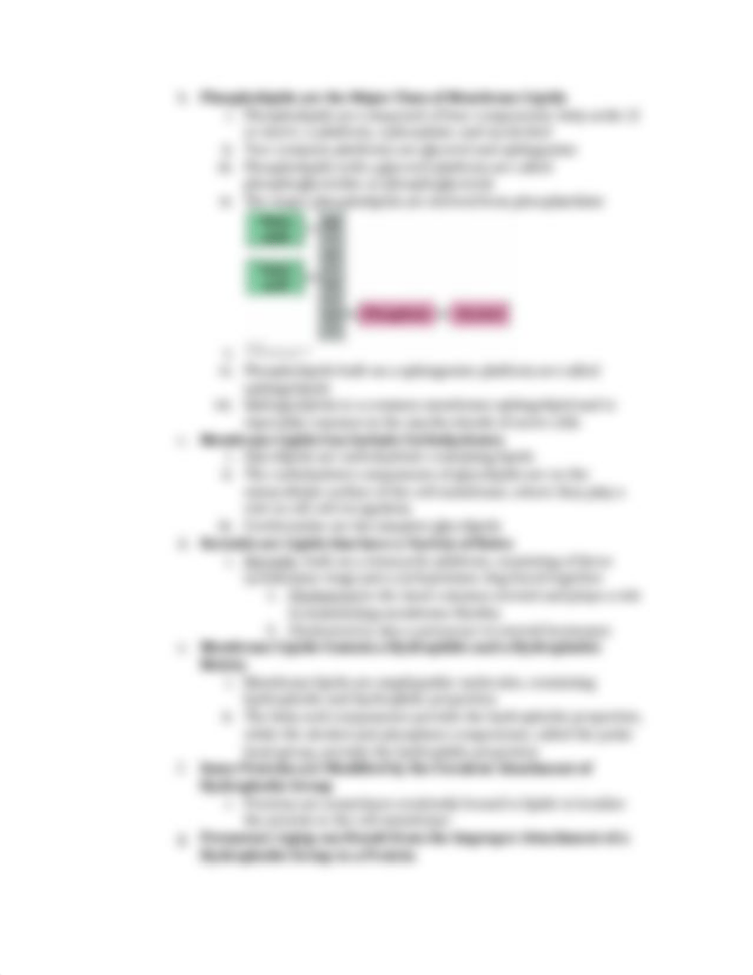 Biochemistry Exam 3_dofbeckr80l_page3