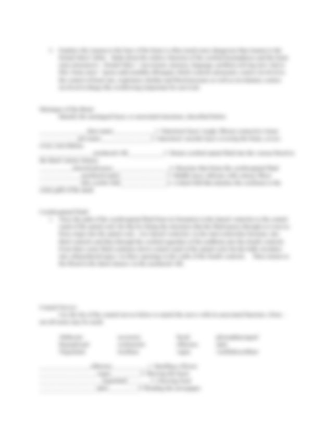 BI 108 Brain and Nervous System(1).docx_dofg8kfw9l5_page3