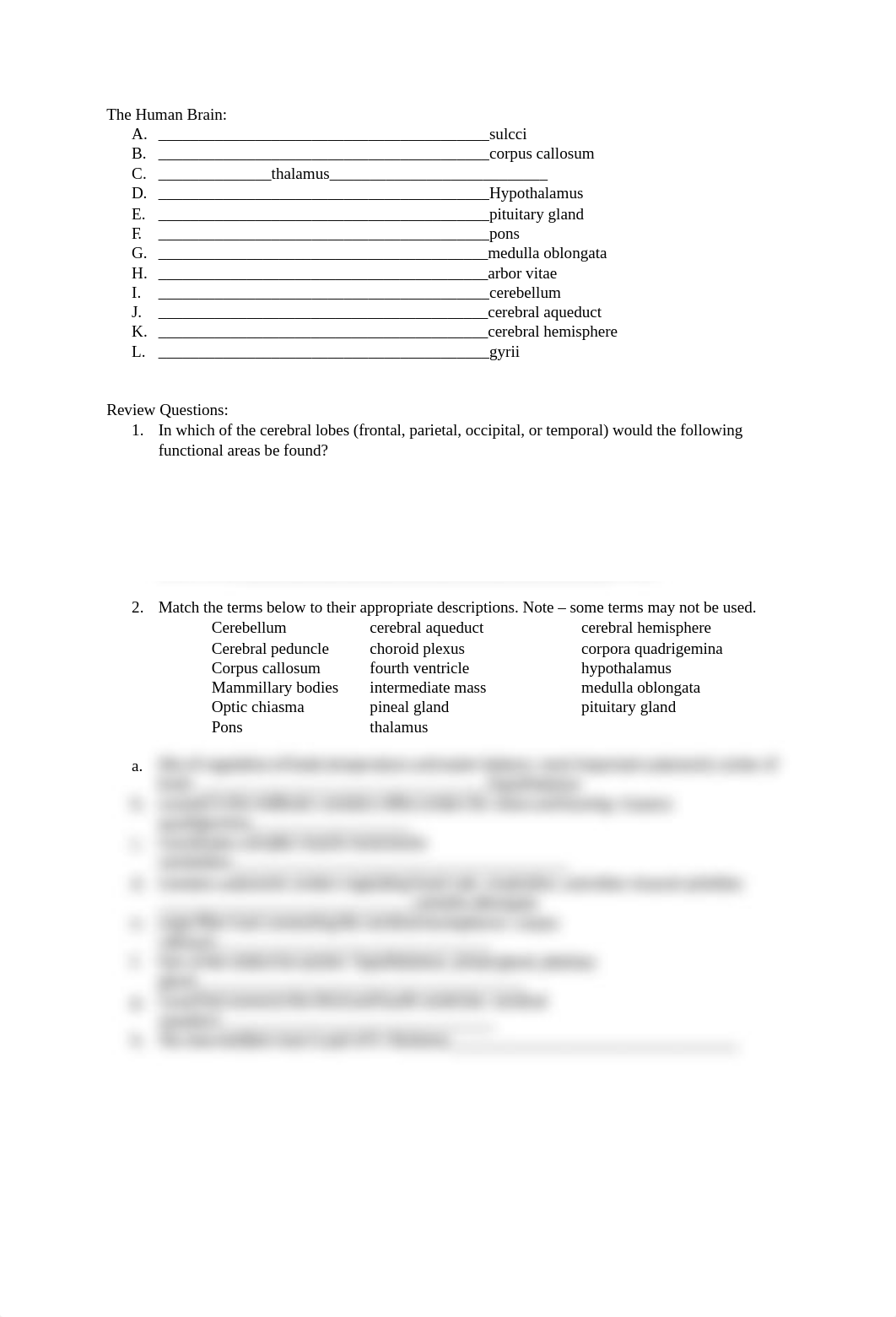 BI 108 Brain and Nervous System(1).docx_dofg8kfw9l5_page2