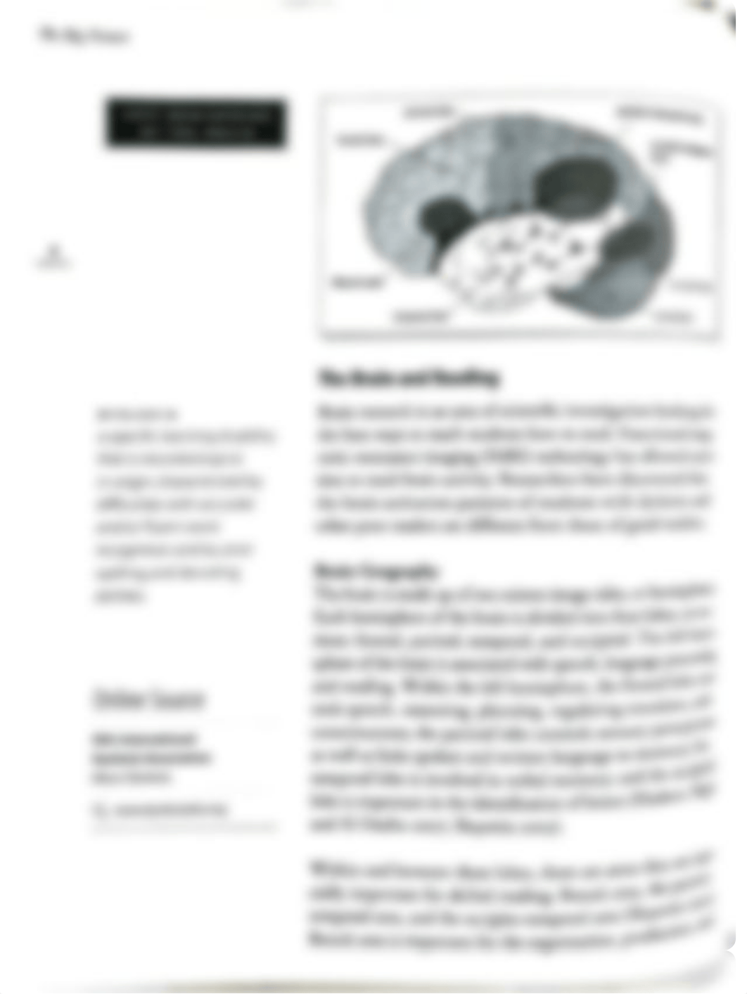 1HW.Teaching Reading Sourcebook - The Big Picture.pdf_dofjelzjjve_page3