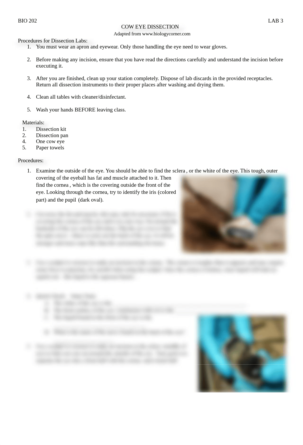 Lab 3 Cow Eye Dissection.docx_dofkzfq93tq_page1