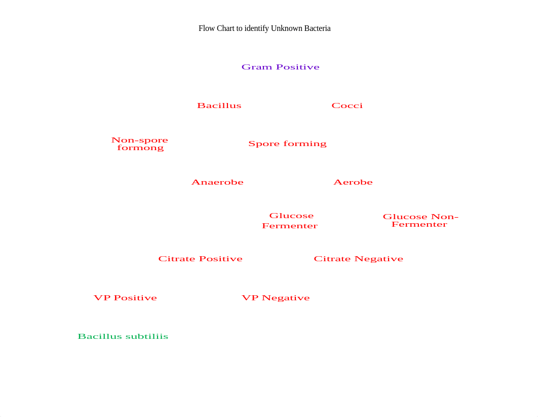 Unknown Microbe - Flow chart Examples.docx_dofmkvpg1f9_page1