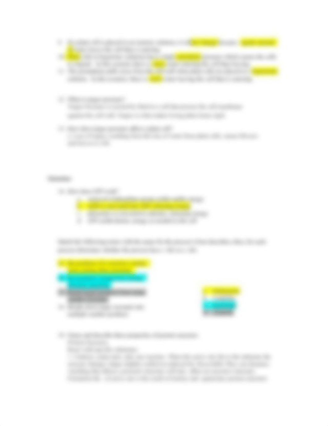 Practice Exam 2 (Lipids - Photosynthesis).docx_dogab92hg5j_page4