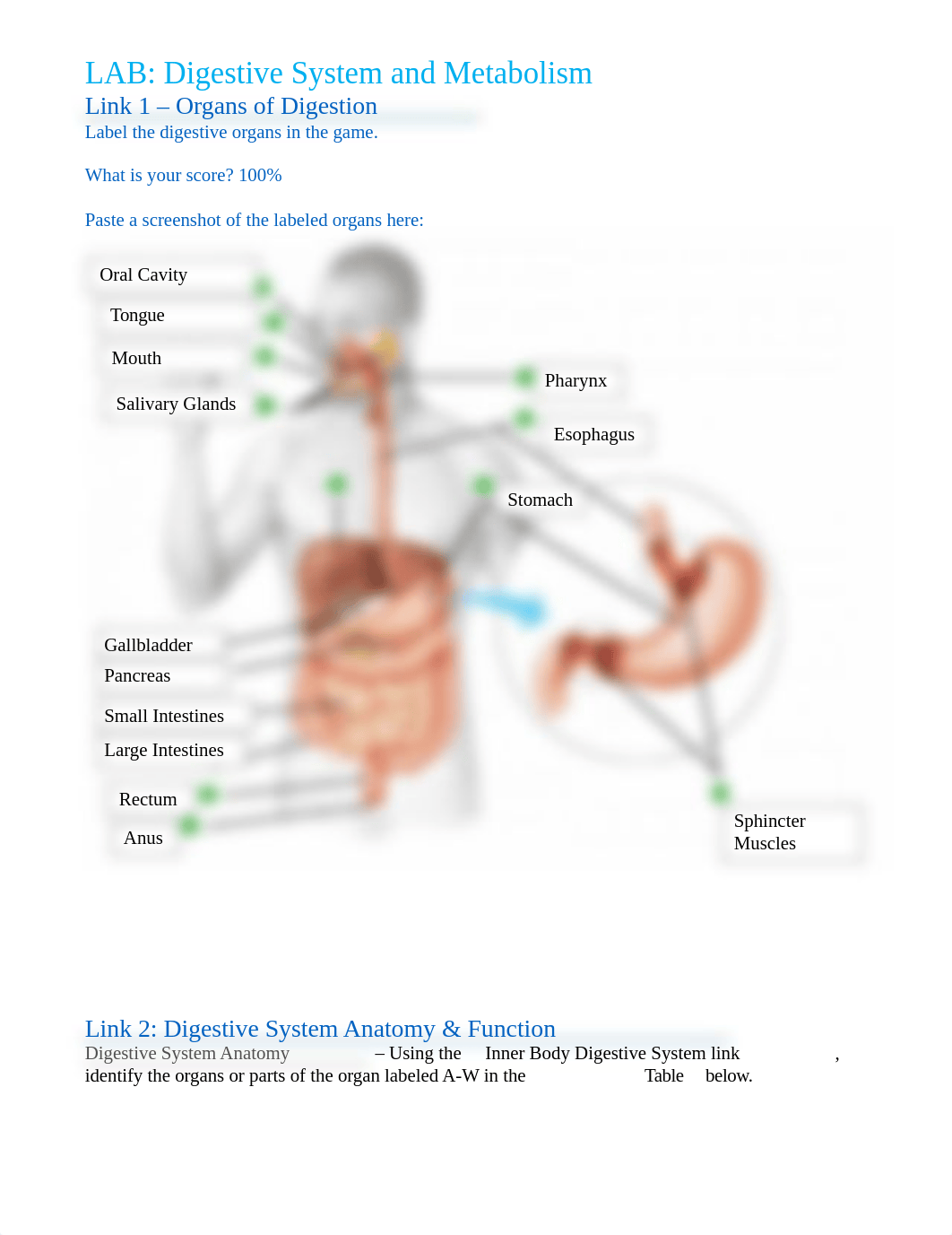 Mechling_Digestivelab.docx_dogbjwgyyip_page1