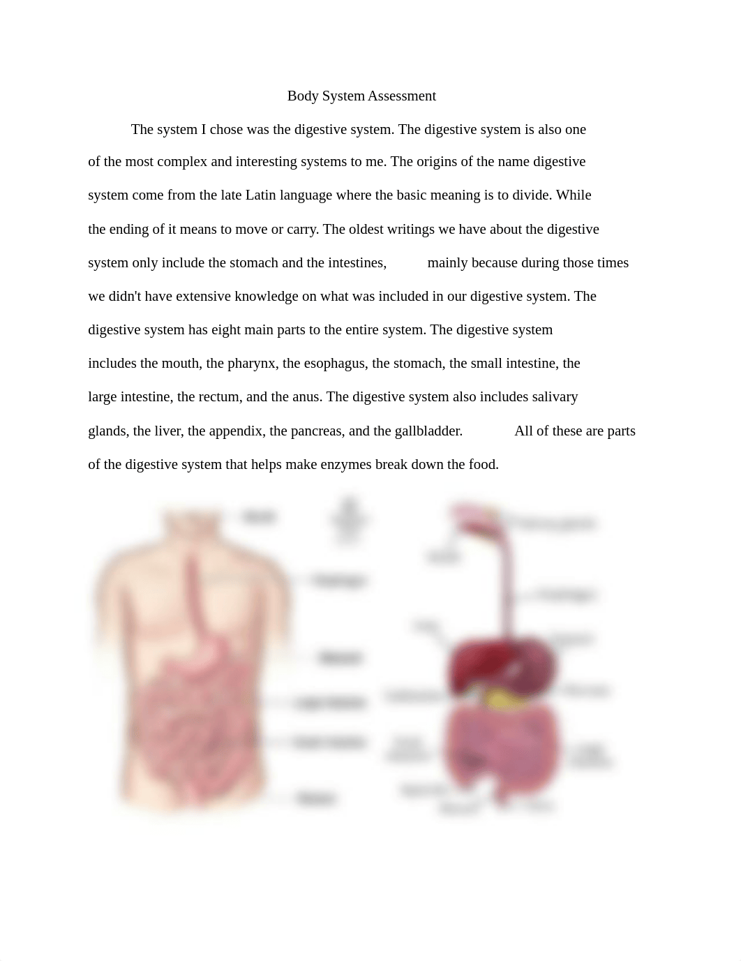 Body System Assessment.docx_doglol7biwb_page1