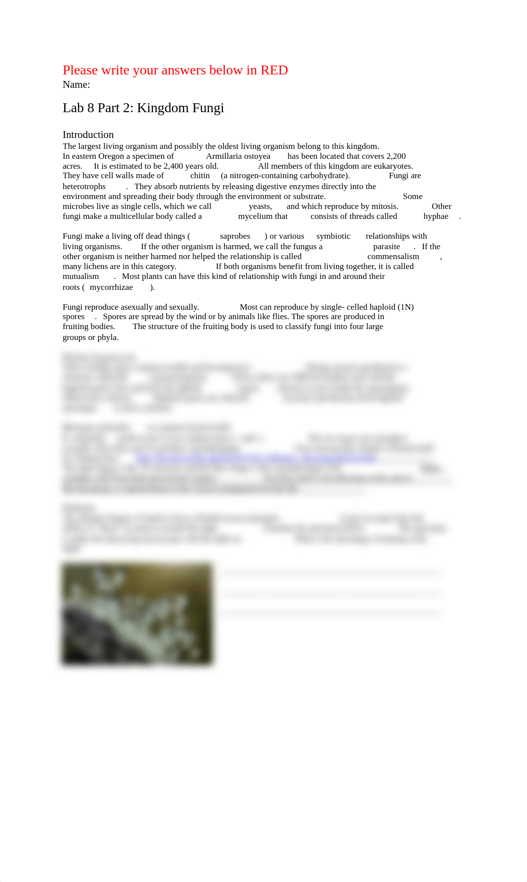 Lab 8 - Kingdom Fungi (Spring 2022) - Part 2.docx_dogwioymcrs_page1