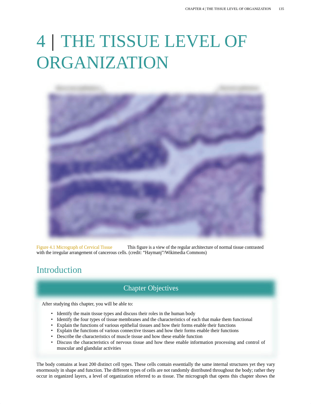 Ch 4 - The Tissue Level of Organization.pdf_doh56qkz874_page1