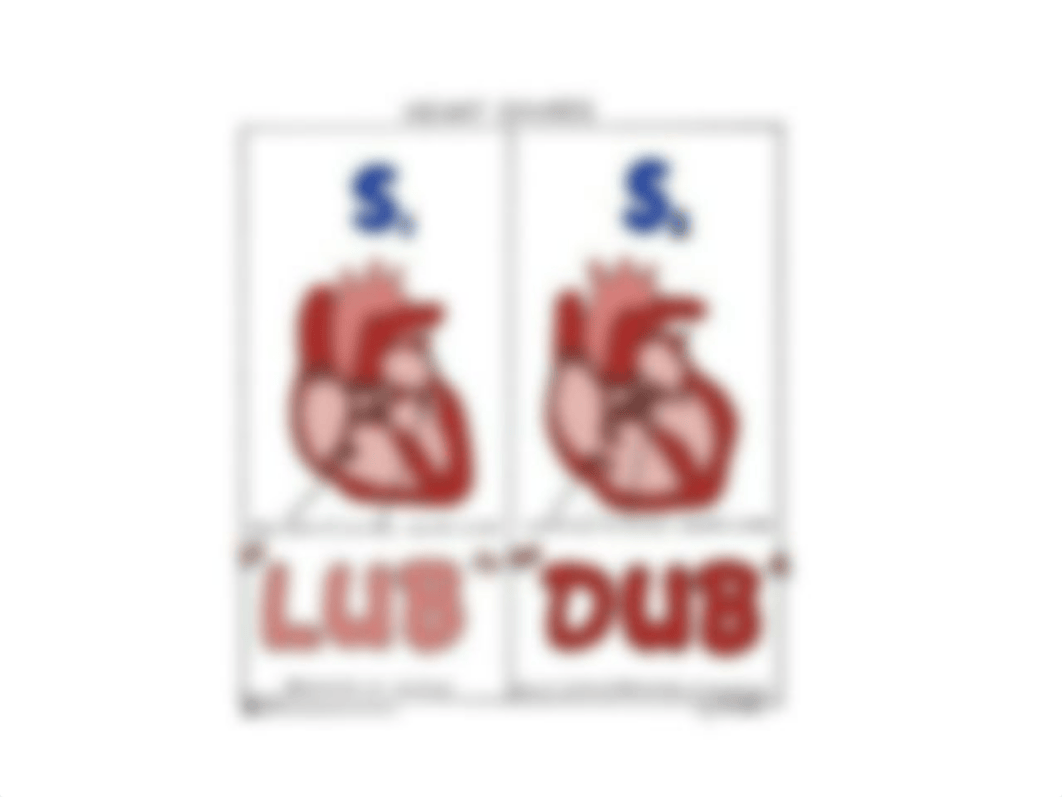 MS17 Cardiovascular System.pptx_doh71iyqatl_page3