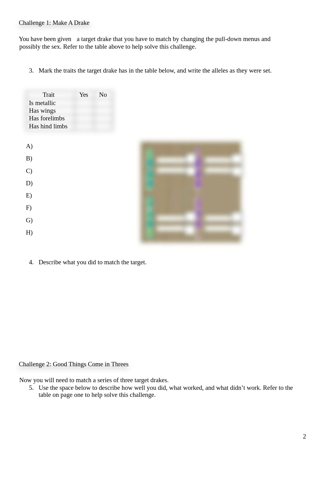 Drake Genetics I - OBIO.docx_dohd5xyunzm_page2