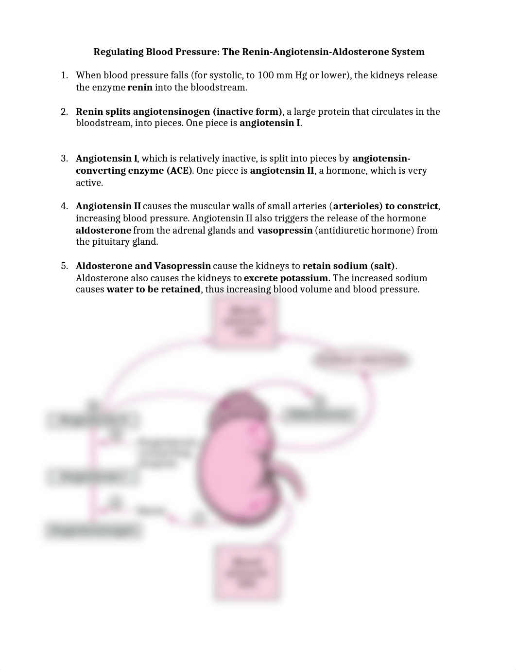 RAS system regulating BP_dohht9umqdg_page1